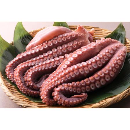 しらぬか産刺身用柳だこ600g×2個